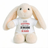 Peluche Lapin Bébé Doudou L'assistante de Broderie de Mamie Cadeau Naissance Fille Nouveau-Né Baby Shower