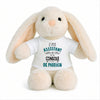 Peluche Lapin Bébé Doudou L'Assistant de Console de Parrain Cadeau Naissance Garçon Nouveau-Né Baby Shower
