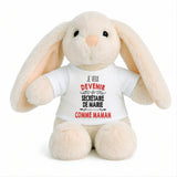 Peluche Lapin Bébé Doudou Je Veux Devenir Secretaire de Mairie comme Maman Cadeau Naissance Nouveau-Né Baby Shower