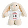 Peluche Lapin Bébé Doudou La Partenaire de Jeu de Papa Cadeau Naissance Fille Nouveau-Né Baby Shower
