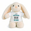 Peluche Lapin Bébé Doudou Le Partenaire de Jeu de Mamie Cadeau Naissance Garçon Nouveau-Né Baby Shower