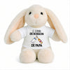 Peluche Lapin Bébé Doudou Le Copain de Boisson de Papa Cadeau Naissance Garçon Nouveau-Né Baby Shower