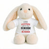 Peluche Lapin Bébé Doudou L'assistante de Broderie de Maman Cadeau Naissance Fille Nouveau-Né Baby Shower