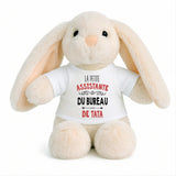 Peluche Lapin Bébé Doudou L'assistante du Bureau de Tata Cadeau Naissance Fille Nouveau-Né Baby Shower