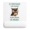 Tapis de souris Ce professeur le plus chouette