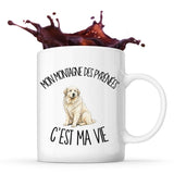 Mug Mon Montagne des Pyrénées c'est ma vie