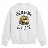 Sweat Gris Chiné Être animatrice c'est la vie