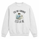 Sweat Gris Chiné Être aide-soignante c'est la vie
