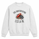 Sweat Gris Chiné Être sauveteur en mer c'est la vie