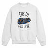 Sweat Gris Chiné Être DJ c'est la vie