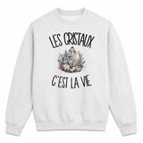 Sweat Gris Chiné Les cristaux c'est la vie