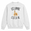 Sweat Gris Chiné Les lamas c'est la vie