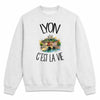 Sweat Gris Chiné Lyon c'est la vie