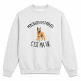 Sweat Gris Chiné Mon Berger des Pyrénées c'est ma vie