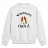 Sweat Gris Chiné Mon Cavalier King Charles c'est ma vie