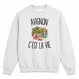 Sweat Gris Chiné Avignon c’est la vie