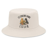 Bob Premium Beige Les concours canins c'est la vie