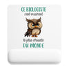 Tapis de souris ergonomique avec repose-poignet, accessoire bureau pour femme et homme, fête des pères, cadeau pas cher, idée cadeau fête des mères, secret santa, départ à la retraite, télétravail et gaming