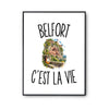 Poster Belfort c’est la vie