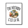 Poster Être diététicien c'est la vie