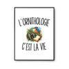 Poster L’Ornithologie c’est la vie