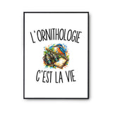 Poster L’Ornithologie c’est la vie