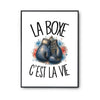 Poster La boxe c'est la vie