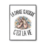 Poster La danse classique c'est la vie