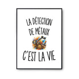 Poster La Détection de Métaux c’est la vie