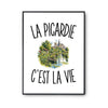 Poster La Picardie c’est la vie
