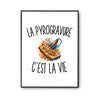 Poster La Pyrogravure c’est la vie