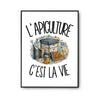 Poster L'apiculture c'est la vie