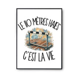 Poster Le 110 mètres haies c'est la vie