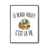 Poster Le Beach-Volley c’est la vie