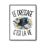 Poster Le dressage c'est la vie