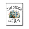 Poster Le saut d'obstacles c'est la vie