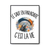 Poster Le saut en parachute c'est la vie