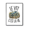 Poster Le VTT c'est la vie