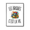 Poster Les Briques c’est la vie