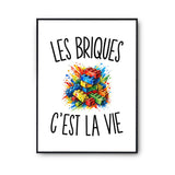 Poster Les Briques c’est la vie