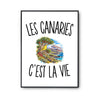 Poster Les Canaries c’est la vie