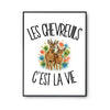 Poster Les chevreuils c'est la vie