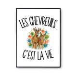 Poster Les chevreuils c'est la vie