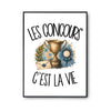 Poster Les concours c'est la vie