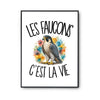 Poster Les faucons c'est la vie
