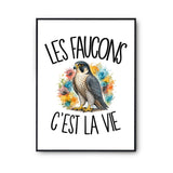 Poster Les faucons c'est la vie