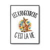 Poster Les kangourous c'est la vie