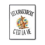Poster Les kangourous c'est la vie