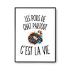 Poster Les Poils de Chat Partout c’est la vie
