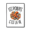 Poster Les poulpes c'est la vie
